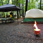Review photo of Cataloochee Campground — Great Smoky Mountains National Park by Myron C., March 1, 2020