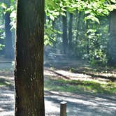 Review photo of Cataloochee Campground — Great Smoky Mountains National Park by Myron C., March 1, 2020