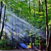 Review photo of Cataloochee Campground — Great Smoky Mountains National Park by Myron C., March 1, 2020