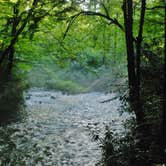 Review photo of Cataloochee Campground — Great Smoky Mountains National Park by Myron C., March 1, 2020