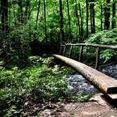 Review photo of Cataloochee Campground — Great Smoky Mountains National Park by Myron C., March 1, 2020