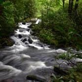 Review photo of Cataloochee Campground — Great Smoky Mountains National Park by Myron C., March 1, 2020