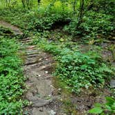 Review photo of Cataloochee Campground — Great Smoky Mountains National Park by Myron C., March 1, 2020