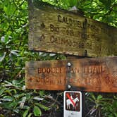 Review photo of Cataloochee Campground — Great Smoky Mountains National Park by Myron C., March 1, 2020