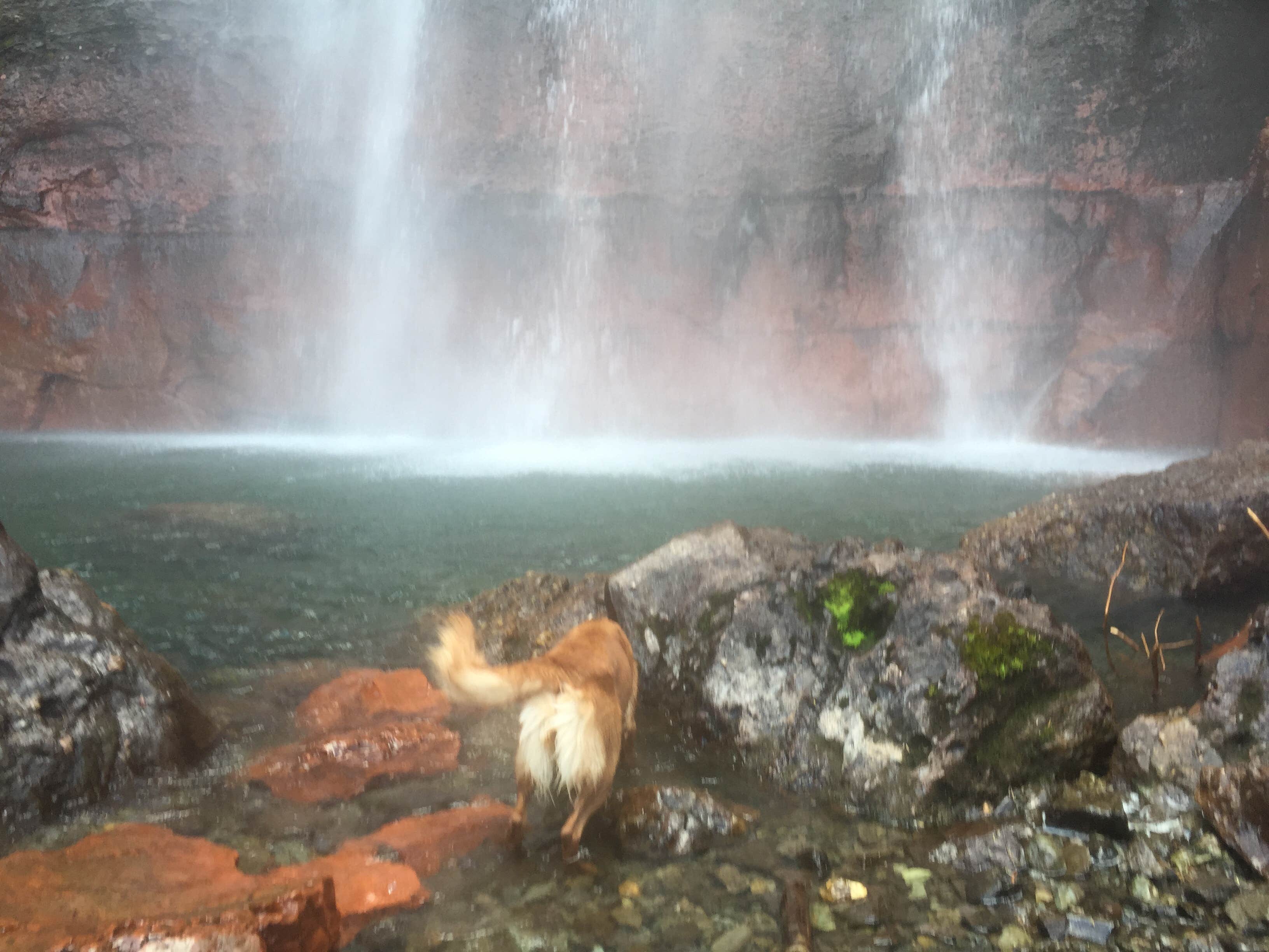 Karl G.'s photo of camping with pets at Telluride Town Park Campground near Ridgway, CO