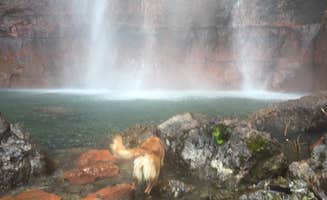 Karl G.'s photo of camping with pets at Telluride Town Park Campground near Ridgway, CO