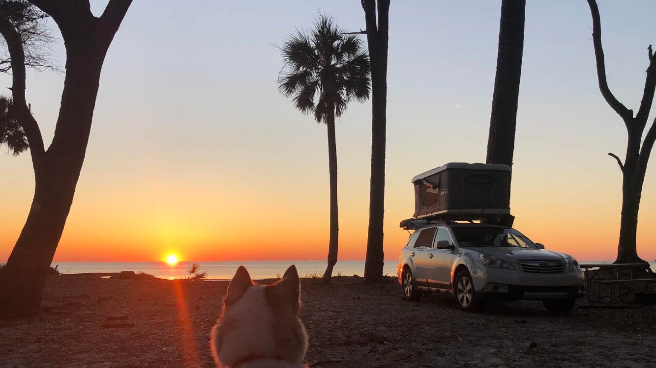 Scott F.'s photo of camping with pets at Hunting Island State Park Campground near Hilton Head Island, SC