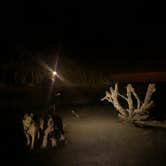 Review photo of Hunting Island State Park Campground by Scott F., March 1, 2020