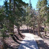 Review photo of Mahogany Grove by Colette K., September 1, 2017