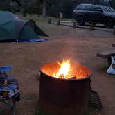 Review photo of Loafer Creek Horse Campground — Lake Oroville State Recreation Area by Bonnie M., March 2, 2020