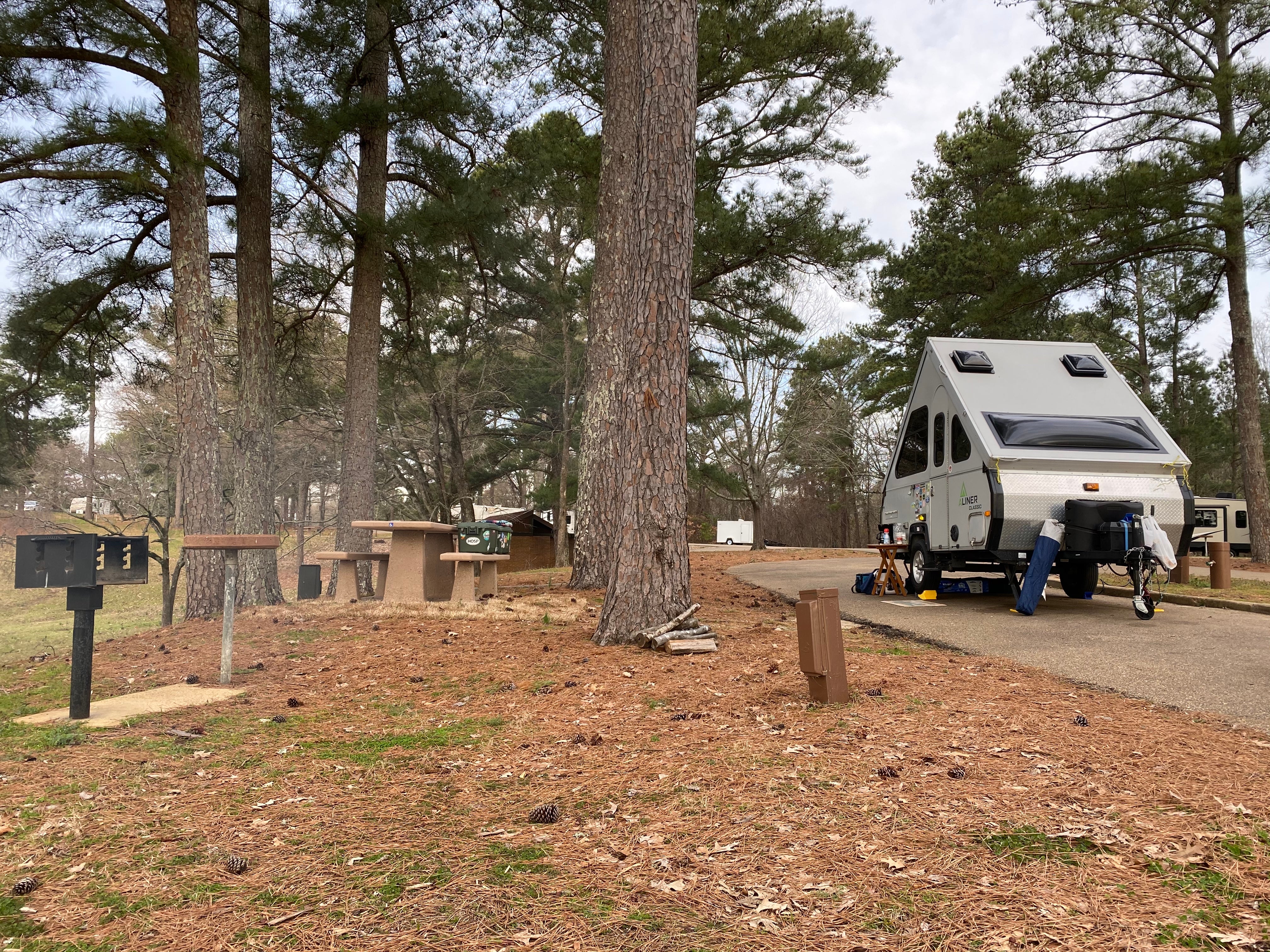 Camper submitted image from Wallace Creek - 5