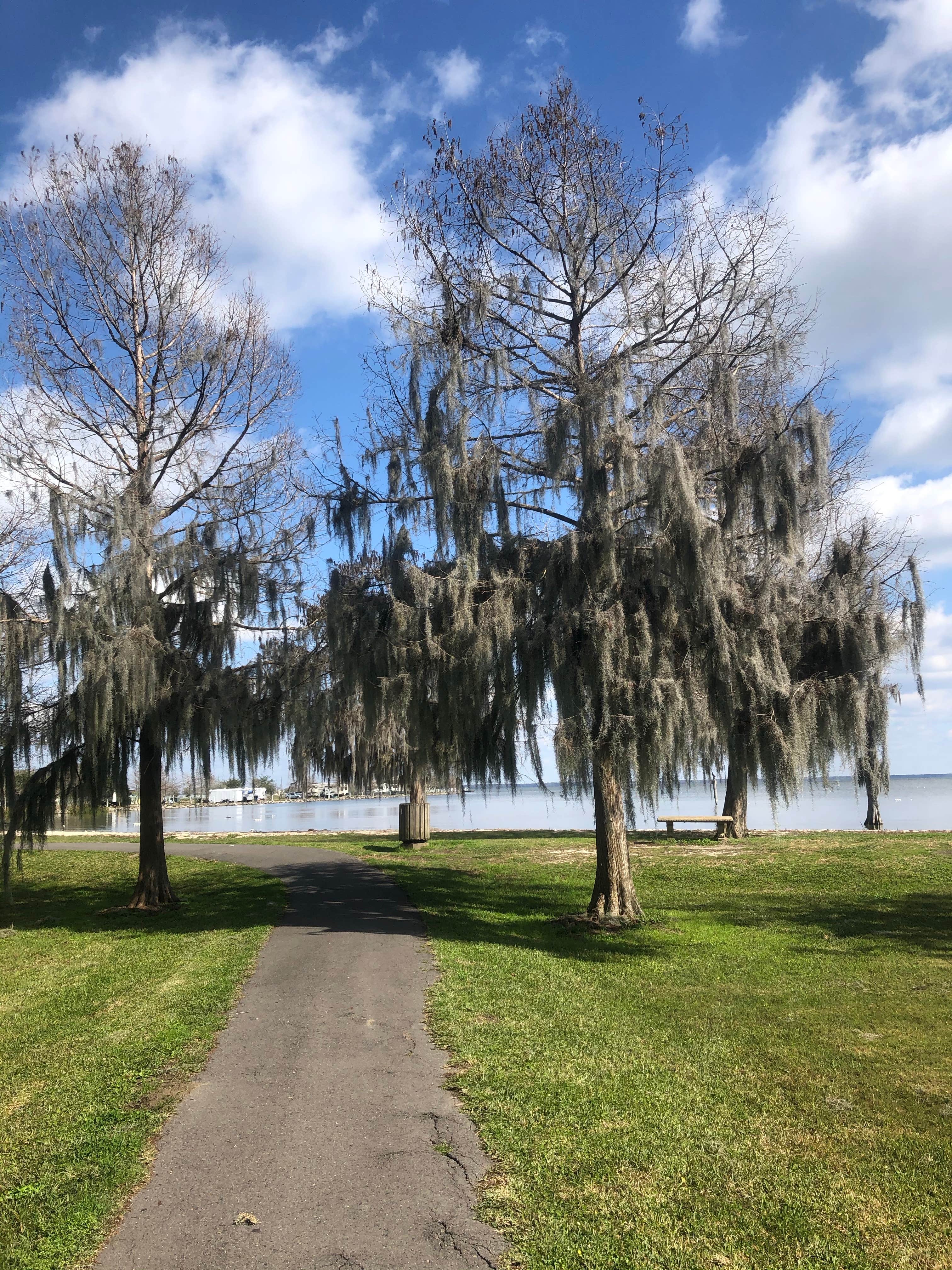Camper-submitted photo at Lake End Park Campground & Marina near Houma, LA