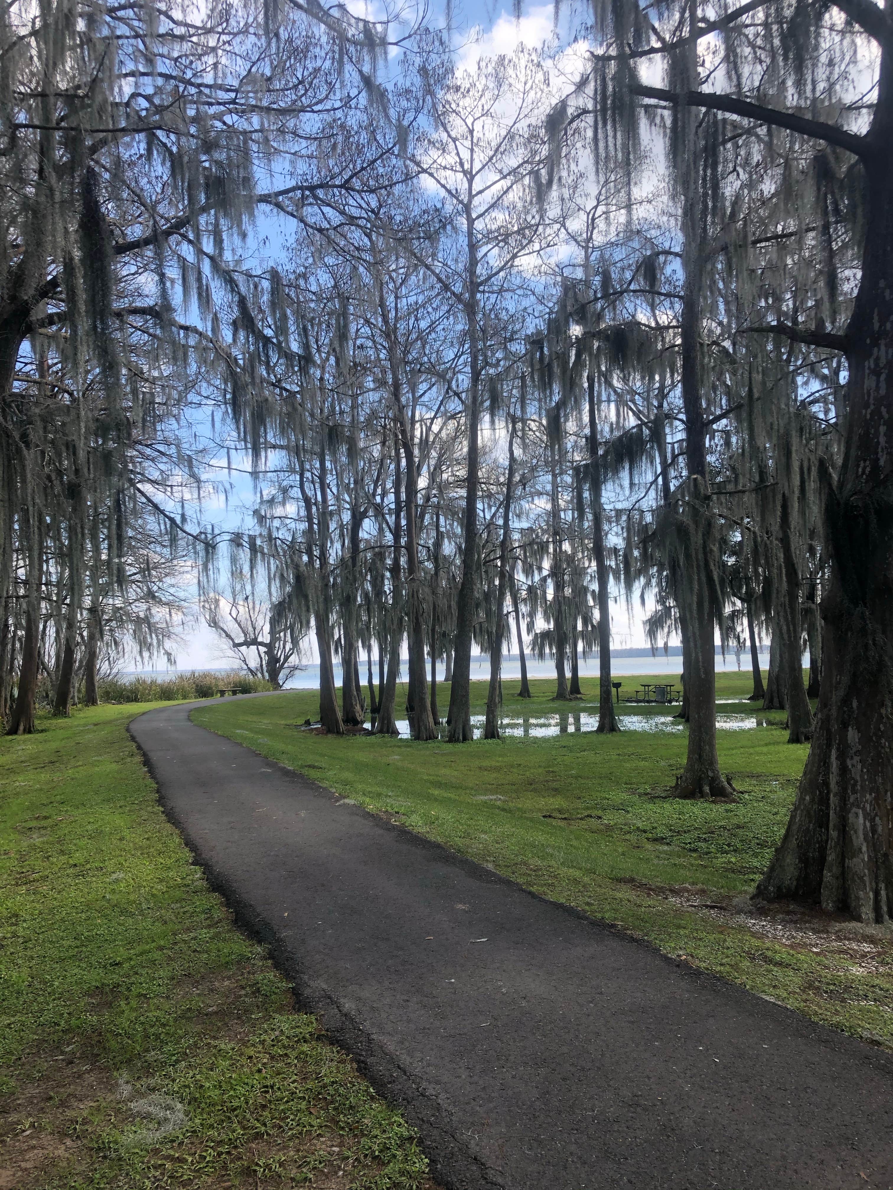 Camper-submitted photo at Lake End Park Campground & Marina near Houma, LA