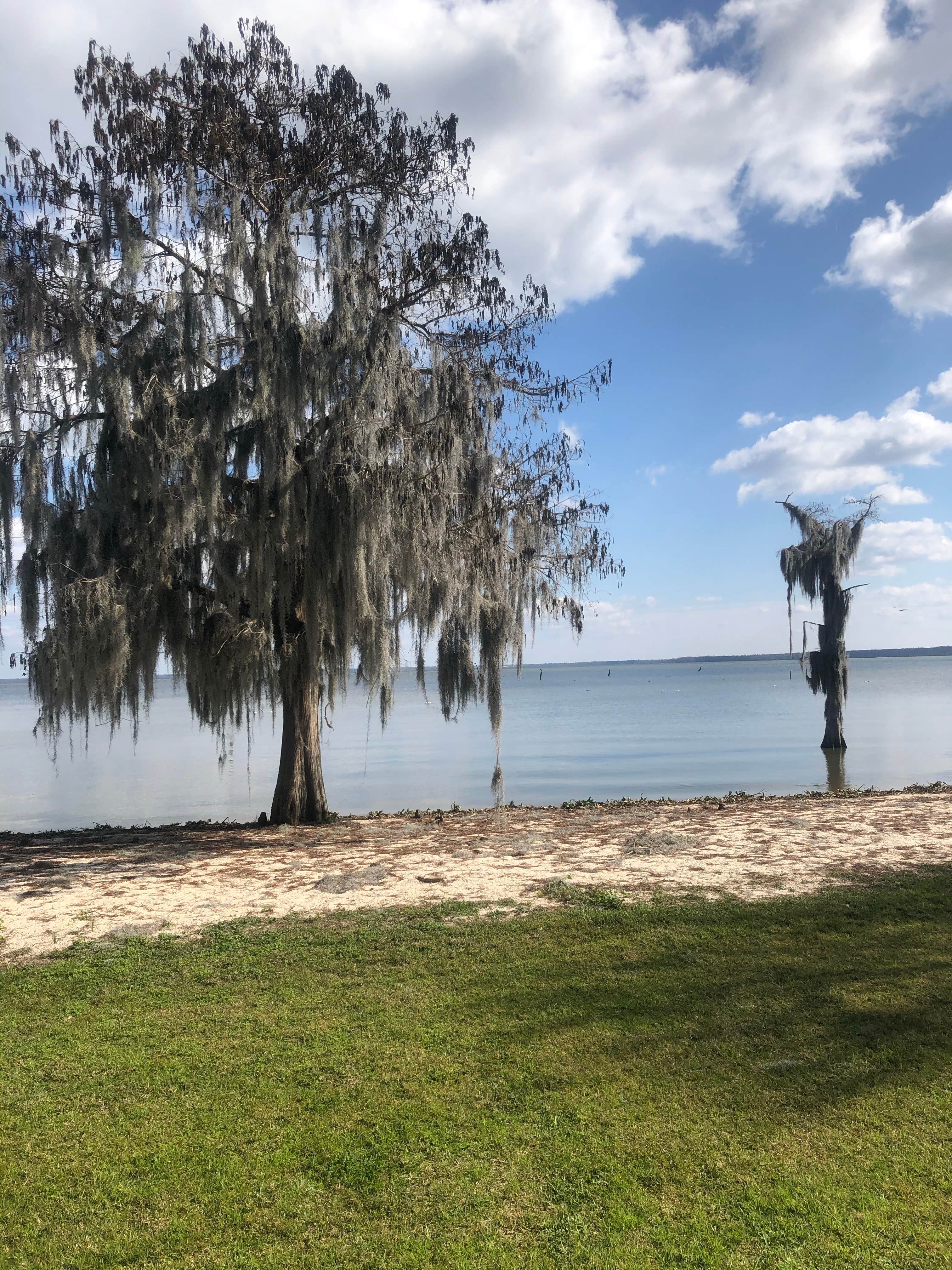 Camper-submitted photo at Lake End Park Campground & Marina near Houma, LA