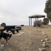 Review photo of Angel Peak Scenic View Campground by Hayley K., February 27, 2020