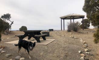 Hayley K.'s photo of camping with pets at Angel Peak Scenic View Campground in New Mexico