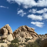 Review photo of Jumbo Rocks Campground — Joshua Tree National Park by Tim , March 2, 2020