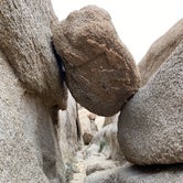 Review photo of Jumbo Rocks Campground — Joshua Tree National Park by Tim , March 2, 2020