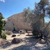 Review photo of Jumbo Rocks Campground — Joshua Tree National Park by Tim , March 2, 2020
