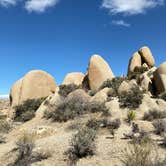 Review photo of Jumbo Rocks Campground — Joshua Tree National Park by Tim , March 2, 2020