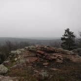 Review photo of Bell Mountain Wilderness Area by Mara F., September 1, 2017