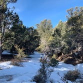 Review photo of Champion Road Dispersed Campsites by Matthew A., March 3, 2020