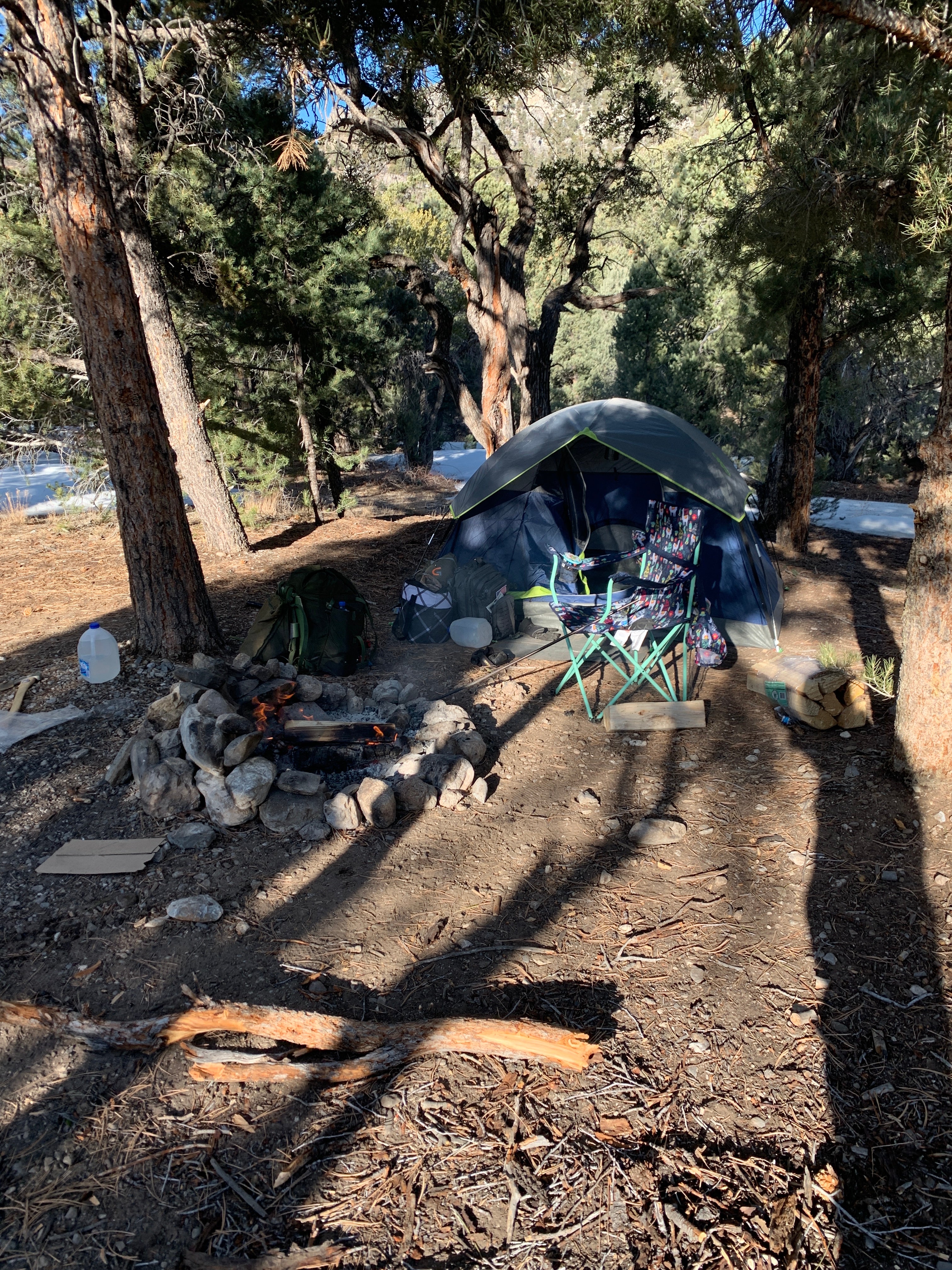 Camper submitted image from Champion Road Dispersed Campsites - 4
