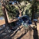 Review photo of Champion Road Dispersed Campsites by Matthew A., March 3, 2020