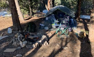 Matthew A.'s photo at Champion Road Dispersed Campsites in Nevada