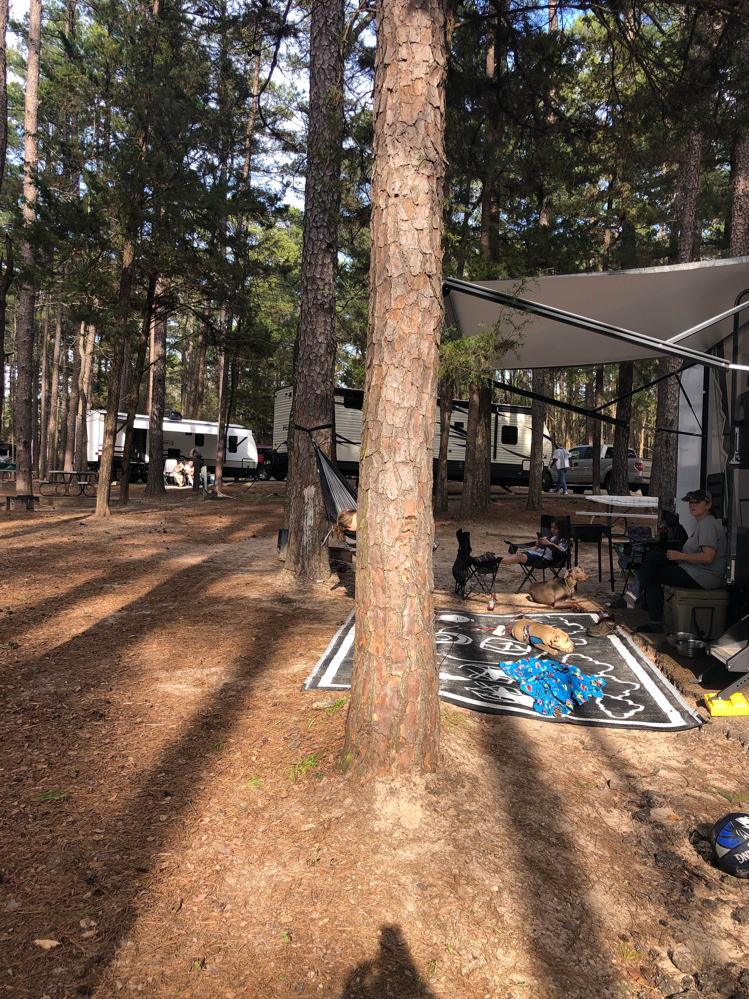 Alan G.'s photo at Daingerfield State Park Campground near Jefferson, TX