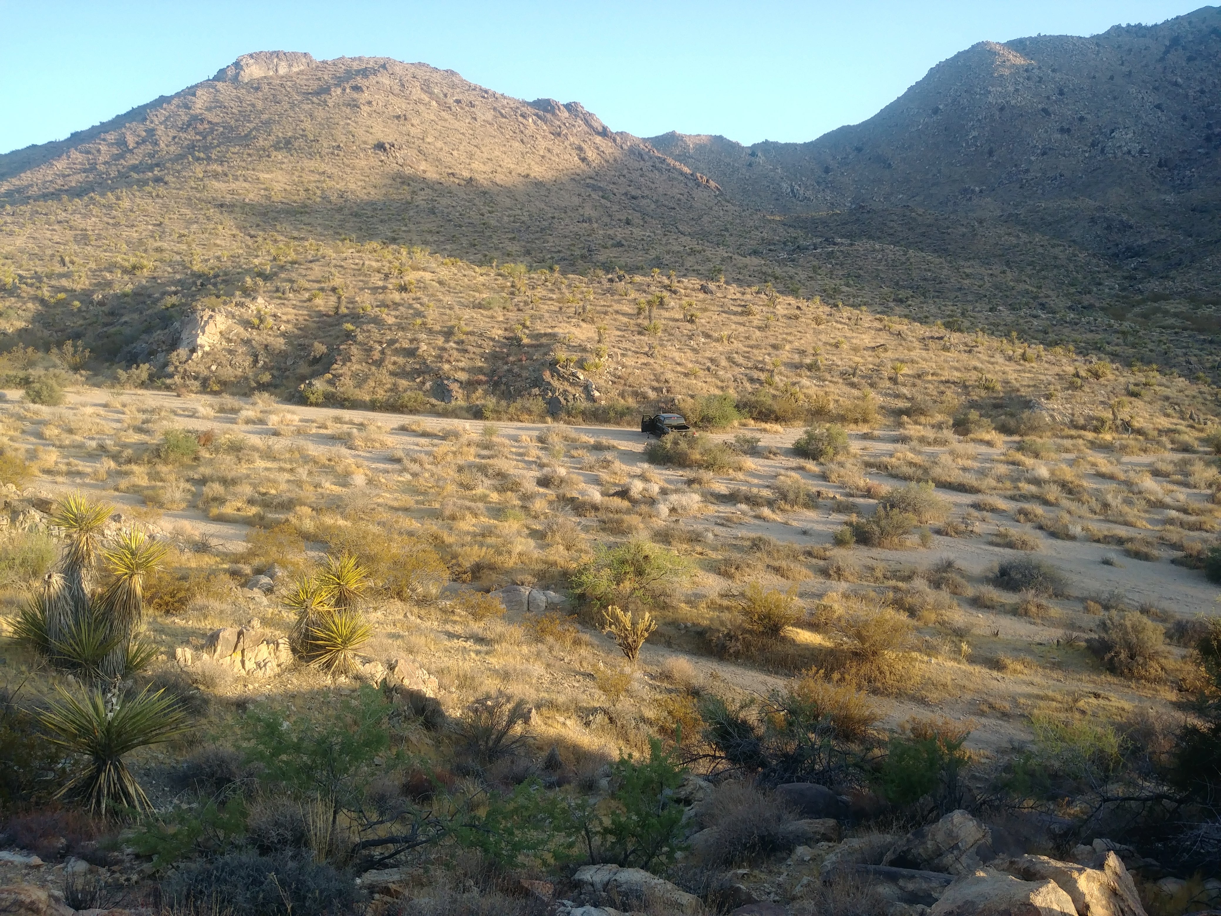 Camper submitted image from Granite Pass Dispersed Roadside Camping — Mojave National Preserve - 2