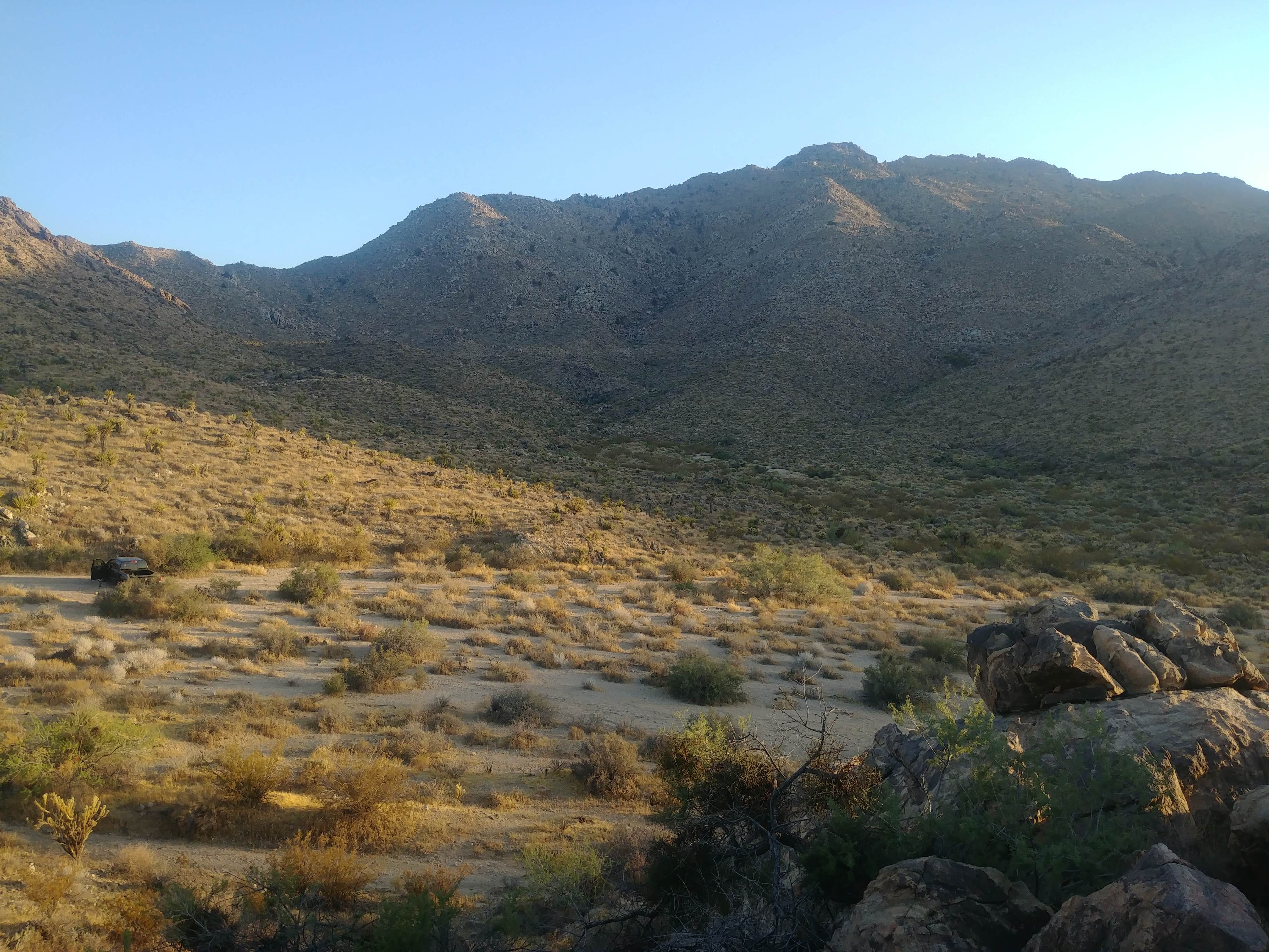 View All