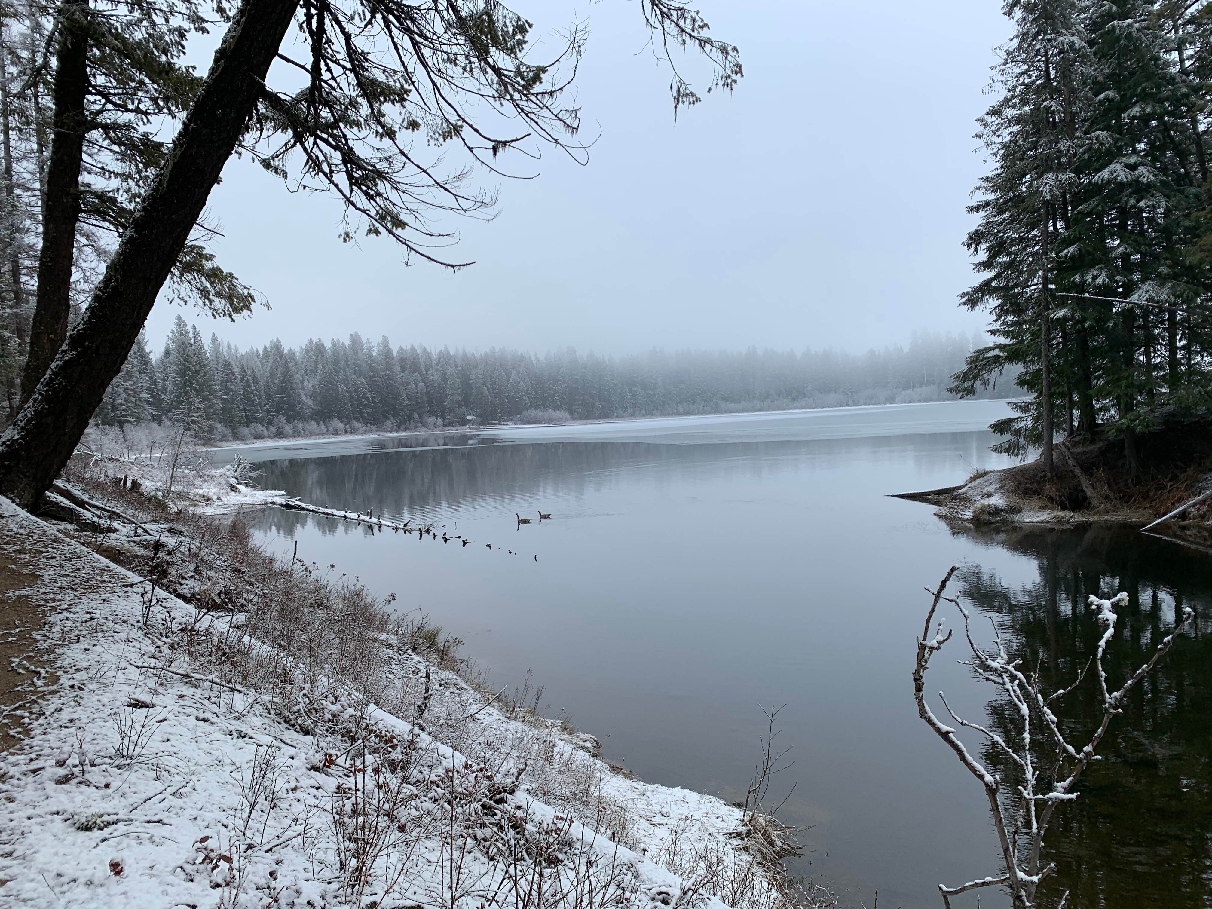 Camper-submitted photo at Round Lake State Park Campground near Cocolalla, ID