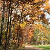 Review photo of Banning State Park Campground by Joanna B., January 3, 2020