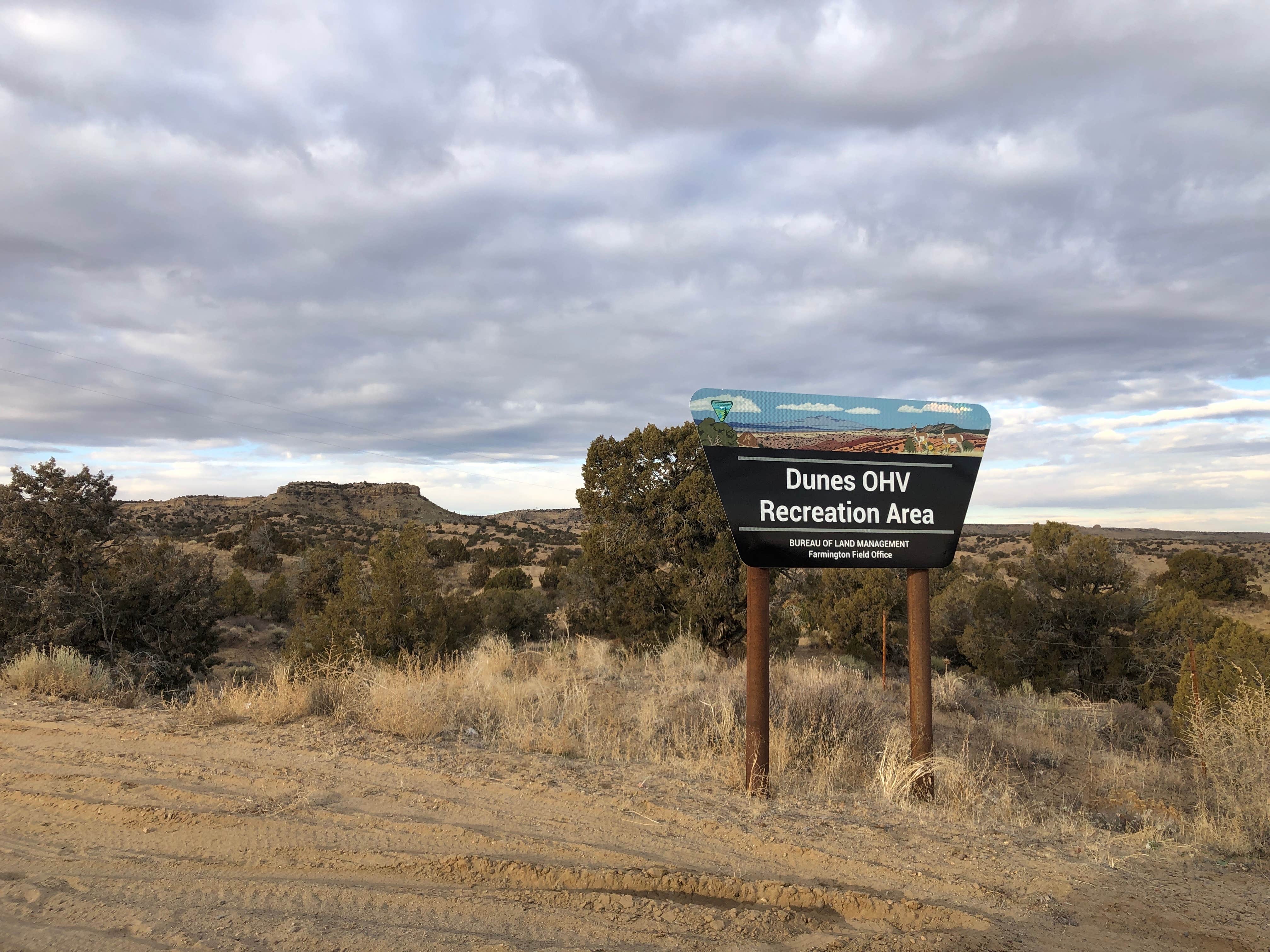 Camper submitted image from Dunes OHV Area - 5