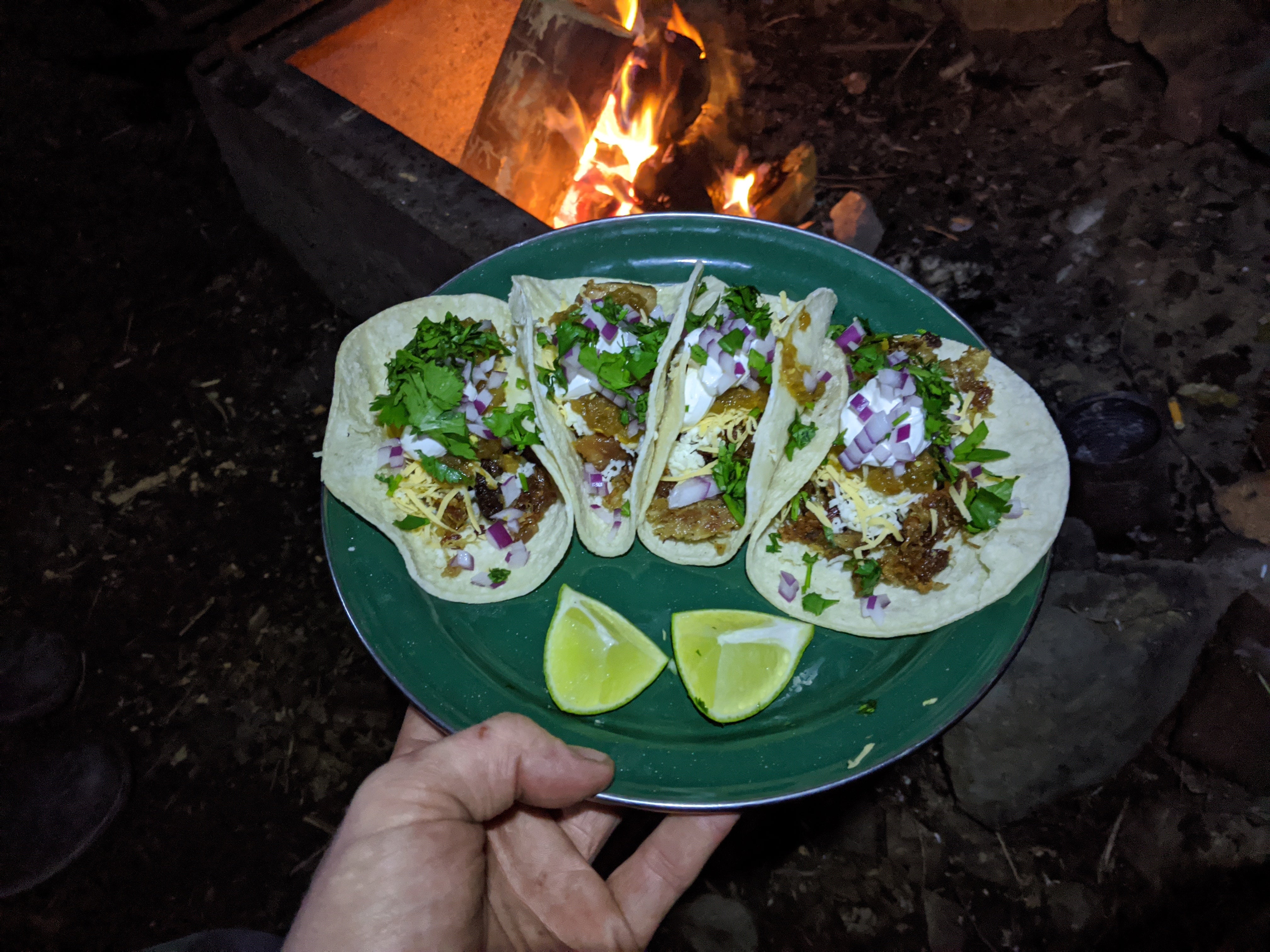 Some wild tacos found while foraging.