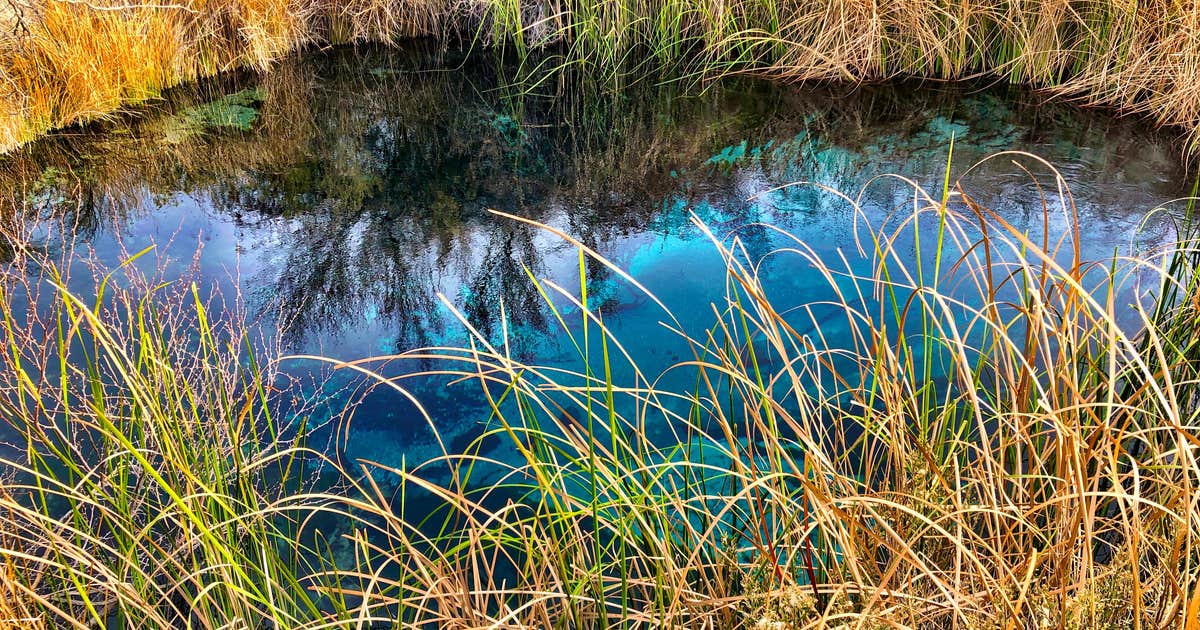 Ash Meadows Dispersed Camping