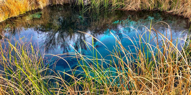 Camper submitted image from Ash Meadows Dispersed Camping