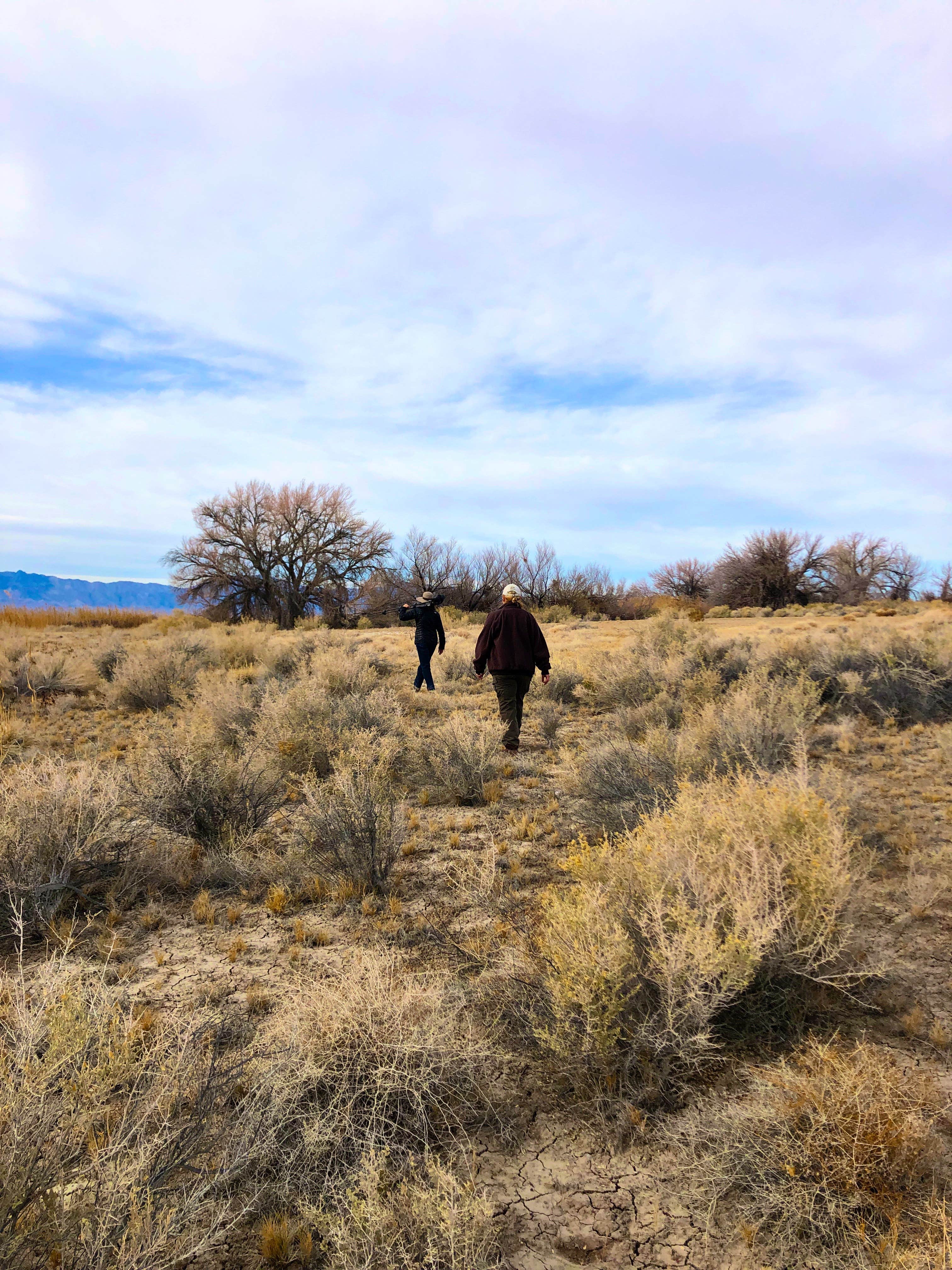 Camper submitted image from Ash Meadows Dispersed Camping - 5