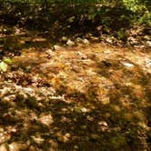 Review photo of Bell Mountain Wilderness Area by Mara F., September 1, 2017