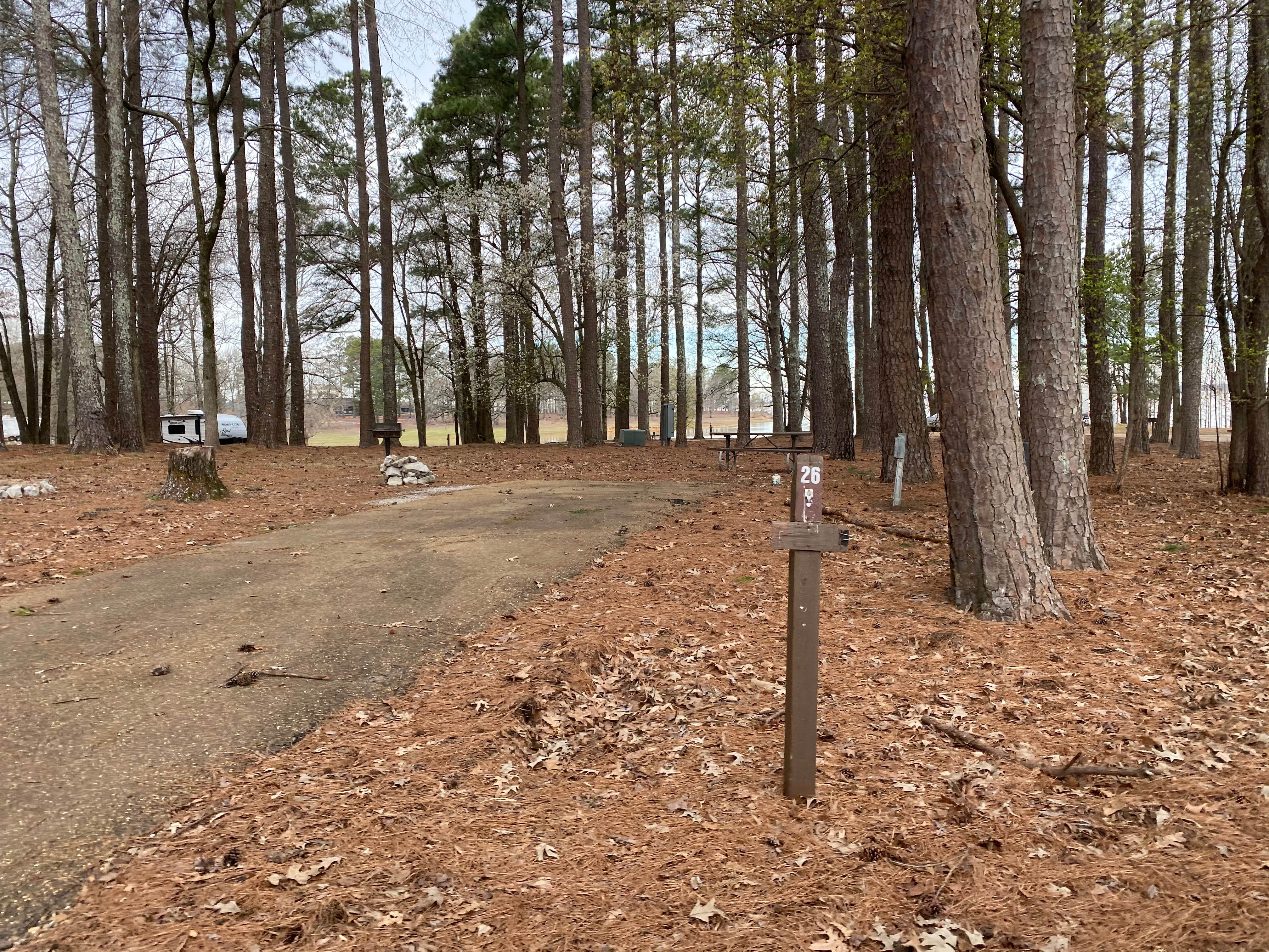 Camper-submitted photo at George P. Cossar State Park Campground near Sam Rayburn Reservoir