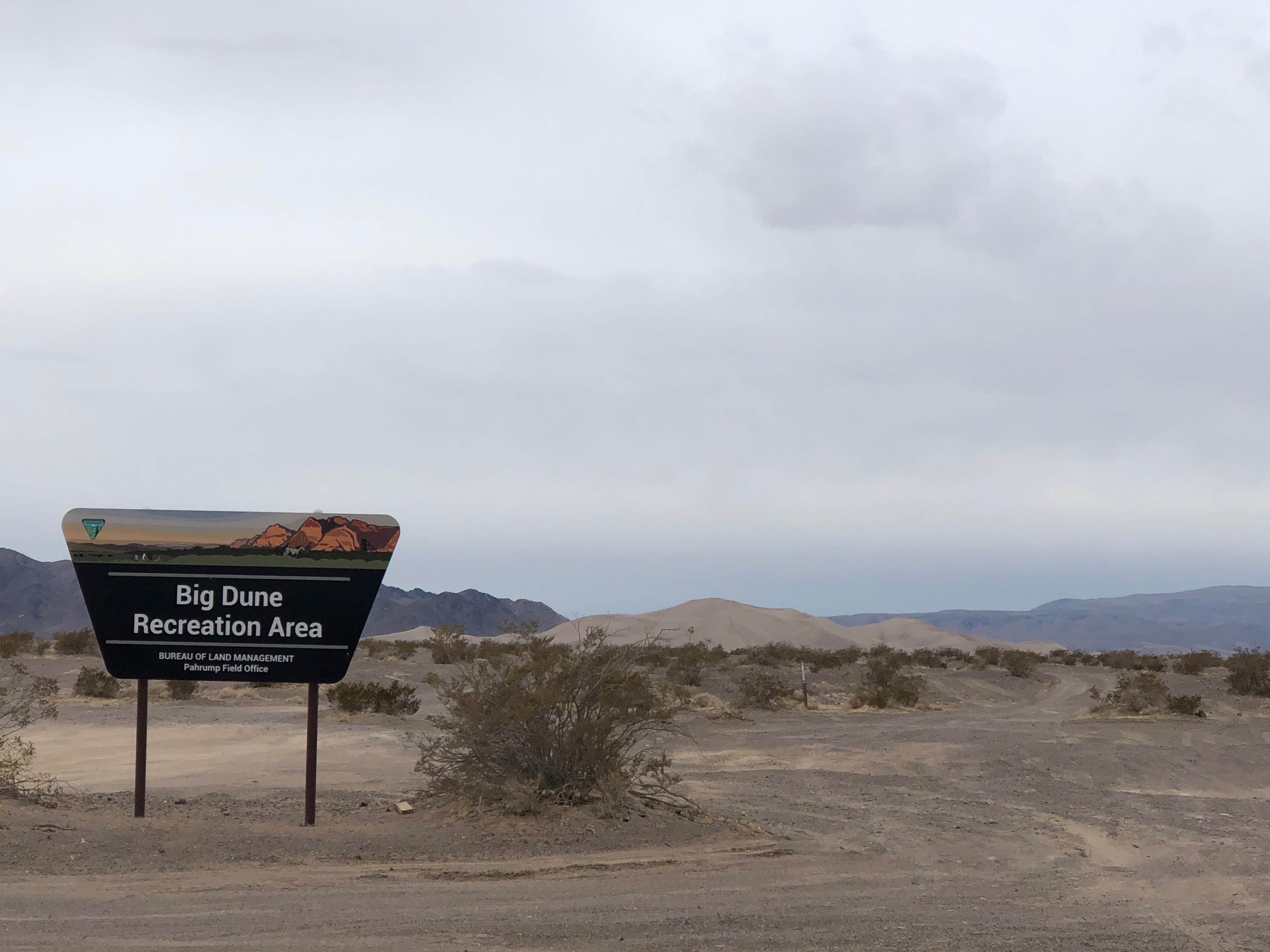 Camper submitted image from Big Dune Recreation Area - 3
