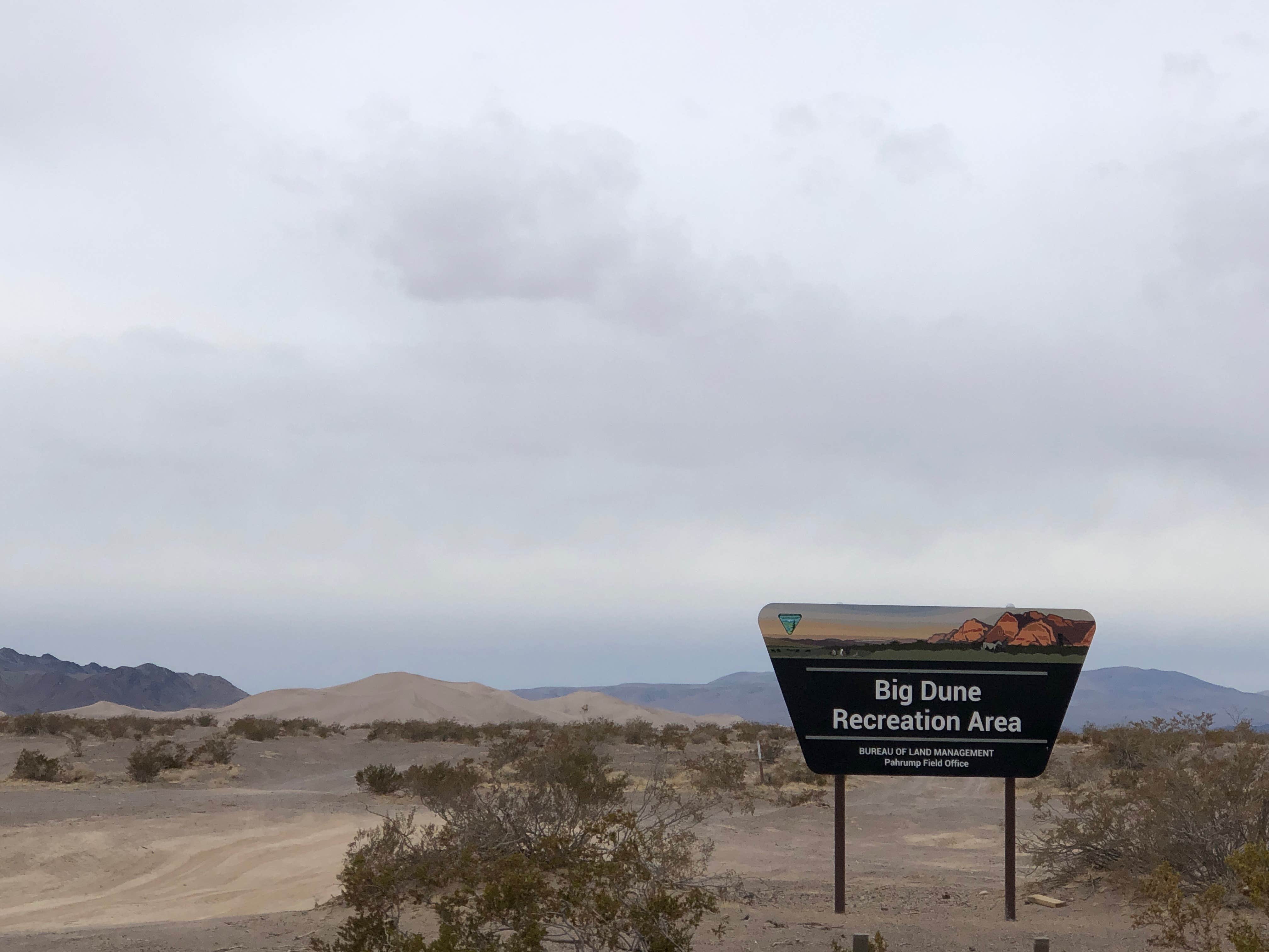 Big Dune Recreation Area The Dyrt