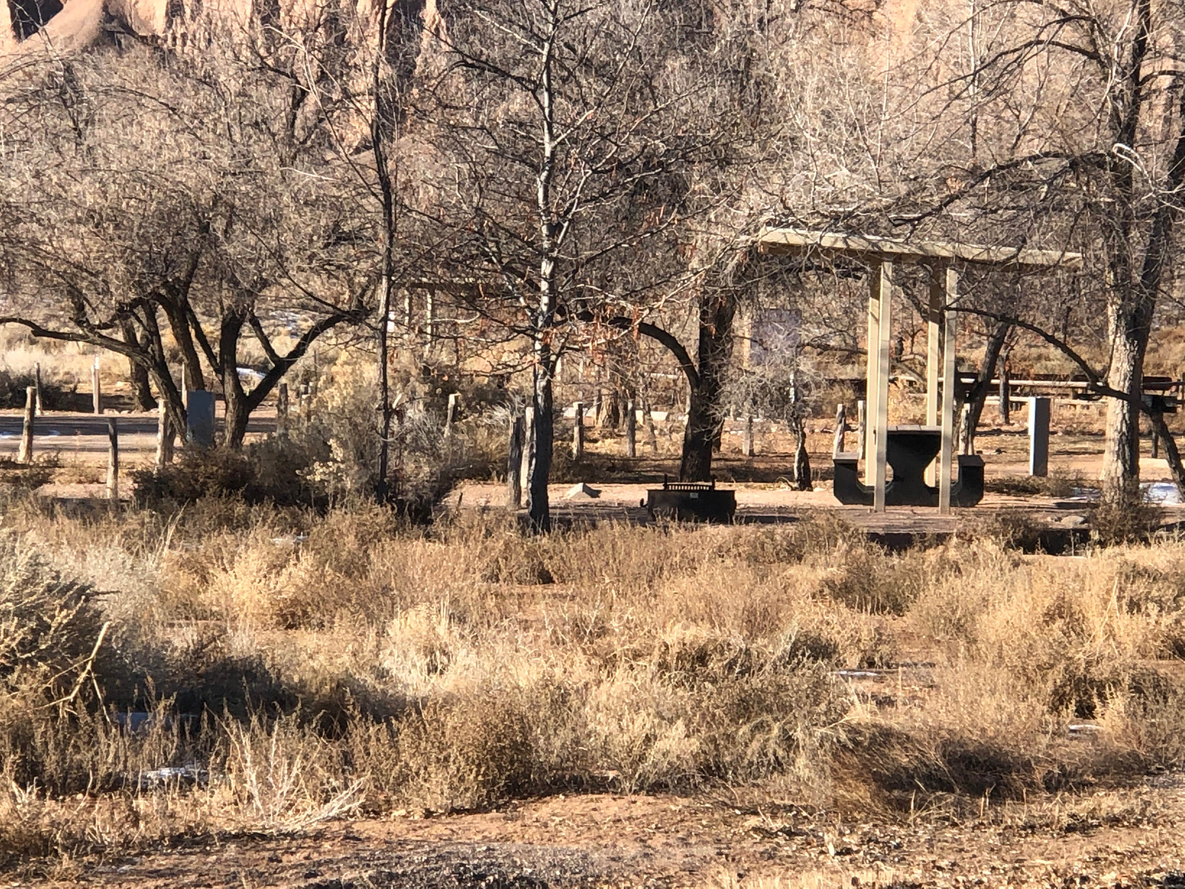 Hayley K.'s photo of glamping accommodations at Cathedral Gorge State Park Campground near Hiko, NV