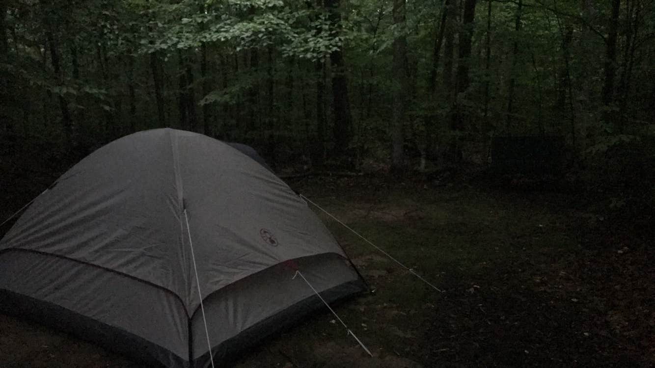 Camper submitted image from Limekiln Lake Campground - 4