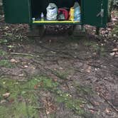 Review photo of Limekiln Lake Campground by Andrew M., September 2, 2017