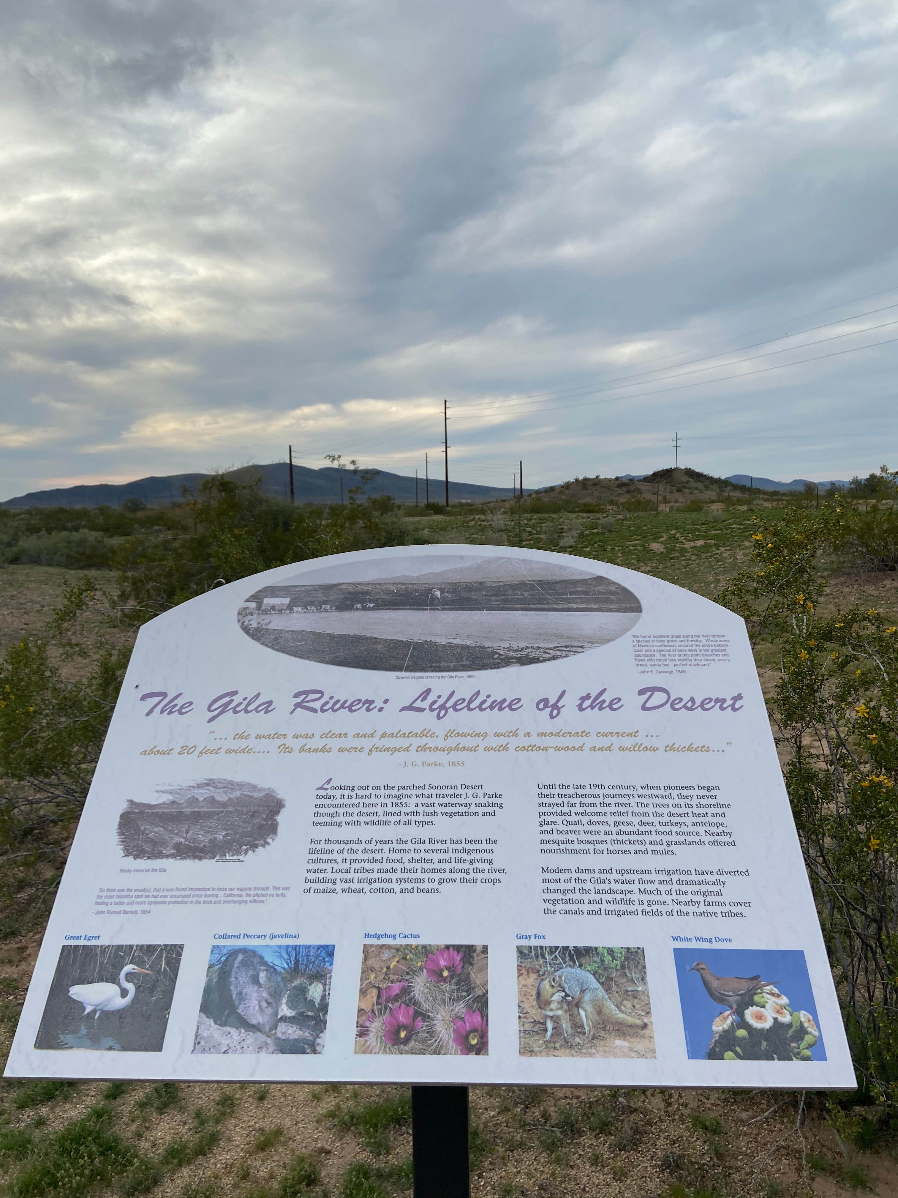 Camper submitted image from Painted Rock Petroglyph Site And Campground - 4