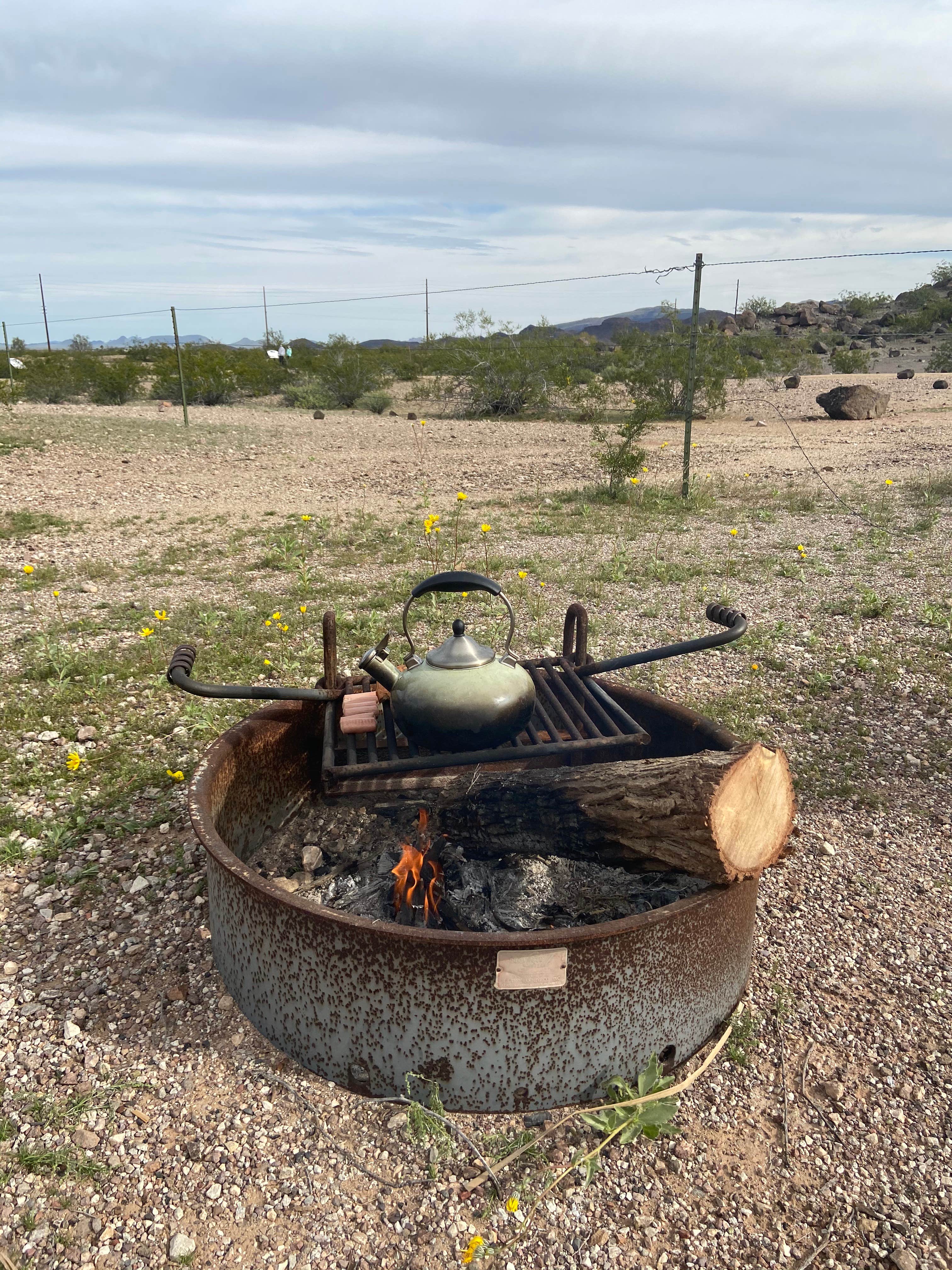 Camper submitted image from Painted Rock Petroglyph Site And Campground - 5