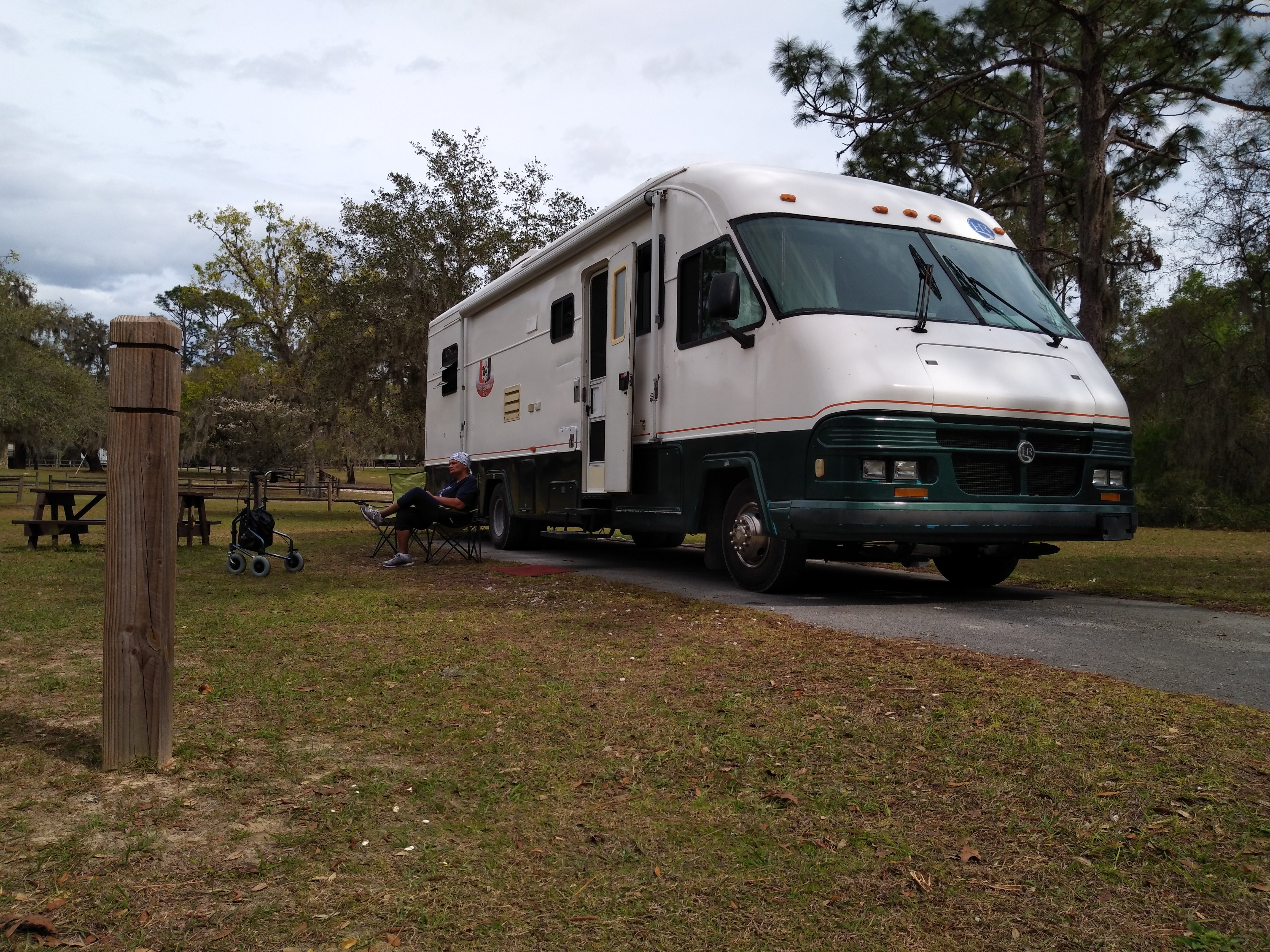 Camper submitted image from Tillis Hill  Recreation Area - Withlacoochee State Forest - 5
