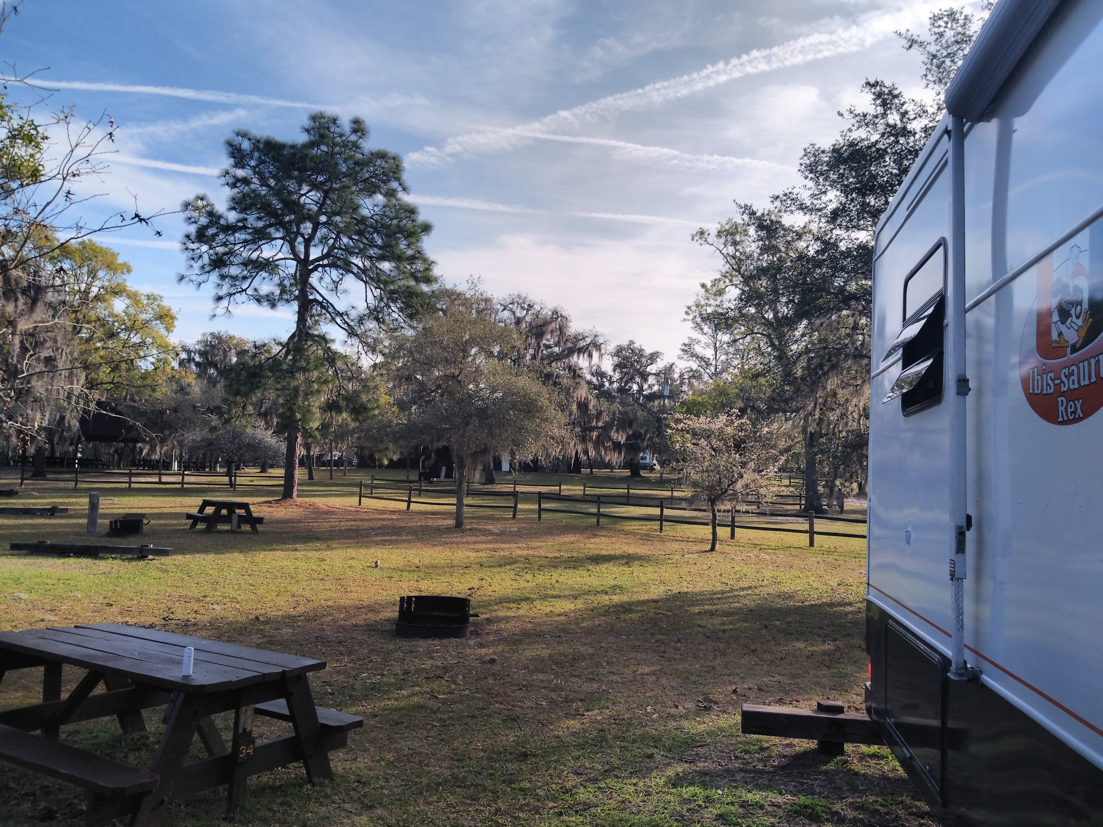 Camper submitted image from Tillis Hill  Recreation Area - Withlacoochee State Forest - 3